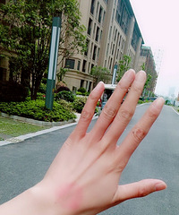 ��Ҳ�������