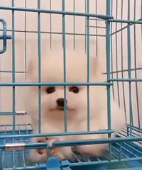 ���ۿ���ܵ� �ؼ�1588