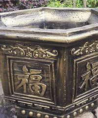 �������ǰ�ѧ��ѽ������������