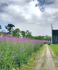 Ҳû�������������ã��̲�ס�ֻ����˼���