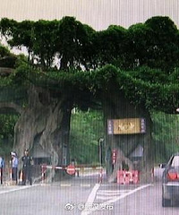 男子花2000万买海景别墅 每天回家要买门票