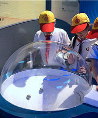 Լ�𣿾�Ȼ�������������磿