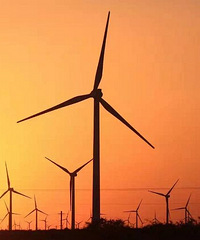 �����粨��   ��������