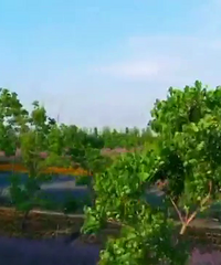 �����ء�