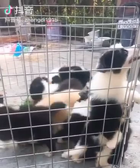 2个月全部现货