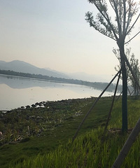 太热早起 跑步
