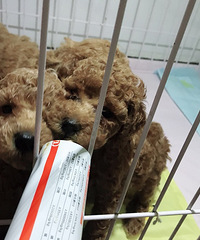 ���꺼����ƽ����ֻ���������������ɫ̩��