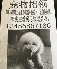 宠物招领启示