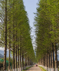 莫干山东野精品民宿