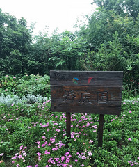 这双休日去西溪这个天然氧吧呼吸呼吸新鲜空气!