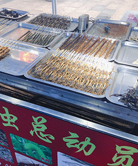 【晒520礼物】蹦跶的一天