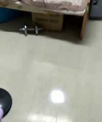 �ɾ�Сè��ֻ׼����һֻ��