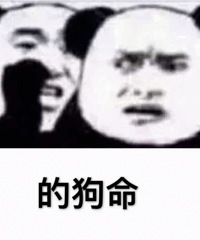 一生所爱