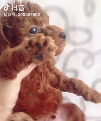 ������̩�Ϲ�