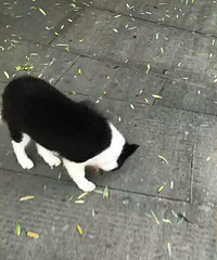 �����������������ˣ���Ϊס���������ˣ������ߣ�����ϵ1825