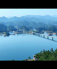 "唯爱与美食不可辜负"之千岛湖胖头鱼