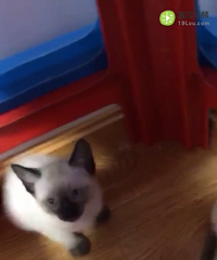 һ����úè�Ҳ�ʺ����