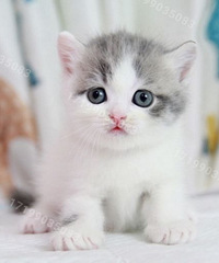 �������ף��������۶��ܵ����� ���۸����