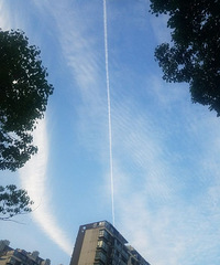 ���Ʋ�����