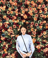 刚开始玩19楼哦