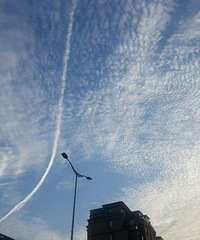 ���Ʋ�����