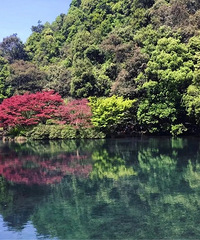 每年夏天总有那么些杭州人喜欢来这避暑!