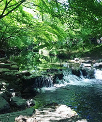 每年夏天总有那么些杭州人喜欢来这避暑!