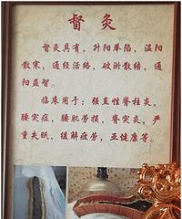 云馨脐灸项目:督灸