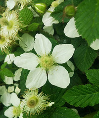 һ���˾�����ͬ�̶ȵĶ������ͻ�ò�ͬ�̶�