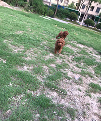 �����������ӽ���50�����������Ѿ��Եĺ�