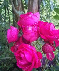 ���Ĳ�������һ��