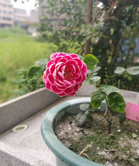 ���Ĳ�������һ��