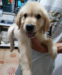 С��ë����