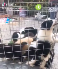 ������������