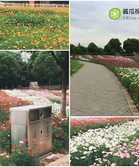 ��Ķ����