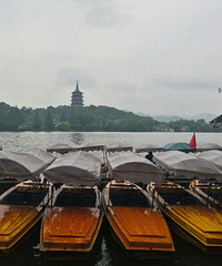 雨后的西湖,少了点人,多了点悠闲