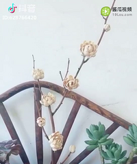 ���Ĺ��ǻ�