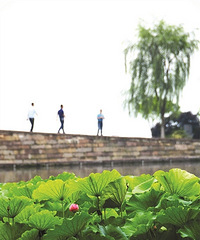 送走今天这波雨 杭州的6月,开局将是完美的好天气