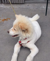 ������ʢ�Ĺ�����������