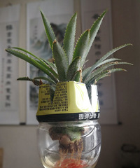 ��ʶ���Ĳ����ԵĲ��䵱������!