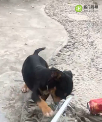 ϲ������ϵ