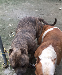 ϲ������ϵ