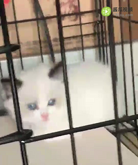 è��ϲ������