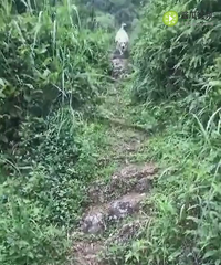 �˶�С����