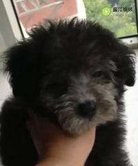 ���������ҵܵ����¼�