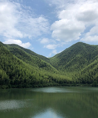 绿水青山黄浦江第一源,有空一定要来看看!