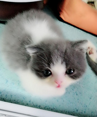 ���㱦�����¼�