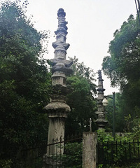 馒头山的夏天,看着看着又想去爬个山了!