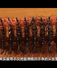 这样的梳子不要再用了
