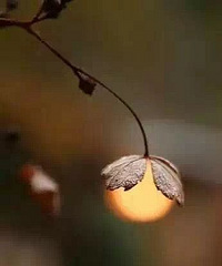 �����Ļ��ͬ�������ķ羰�᲻ͬ�����ܵ�